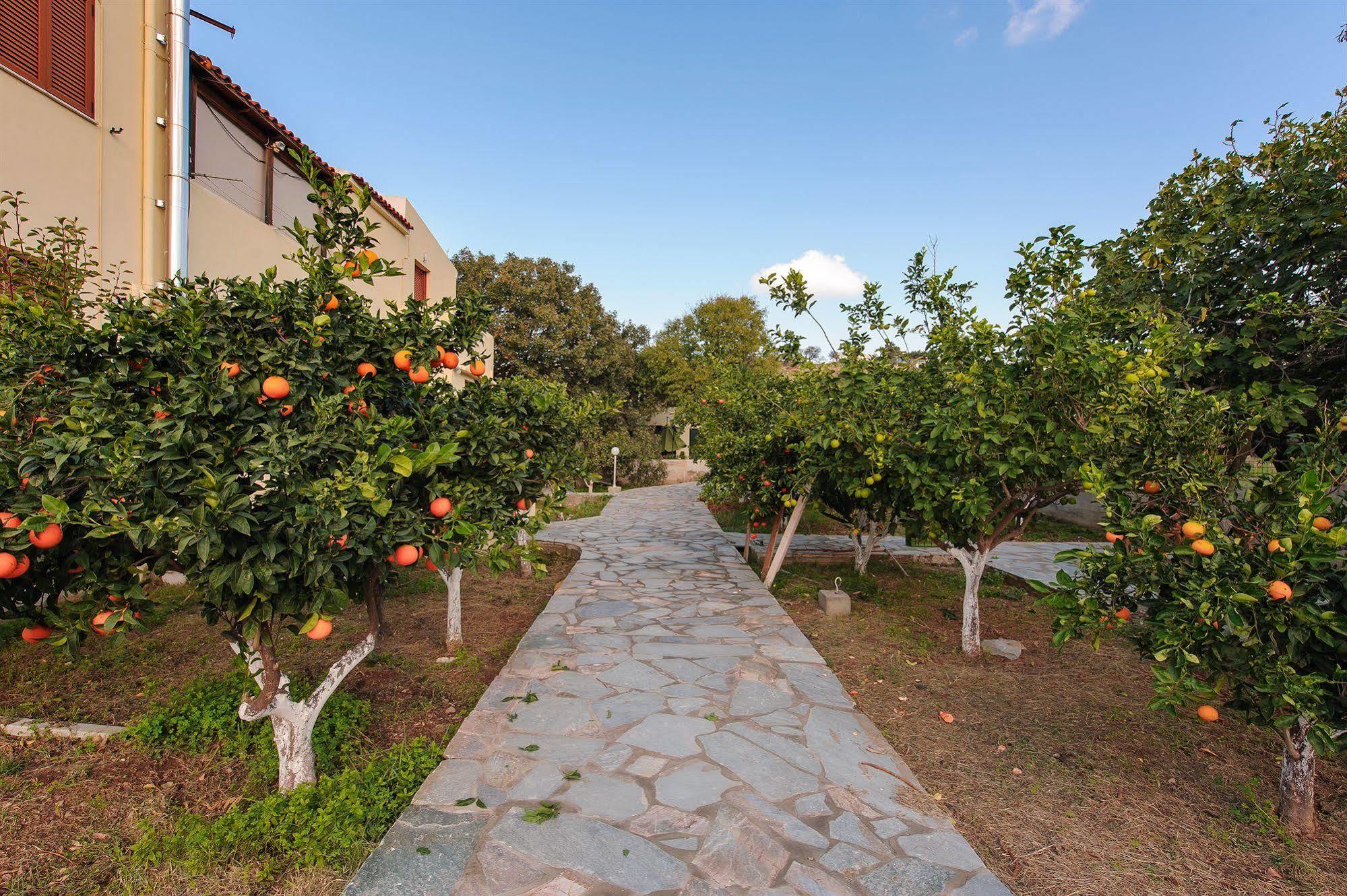 Holiday Rooms Otziás Exterior foto